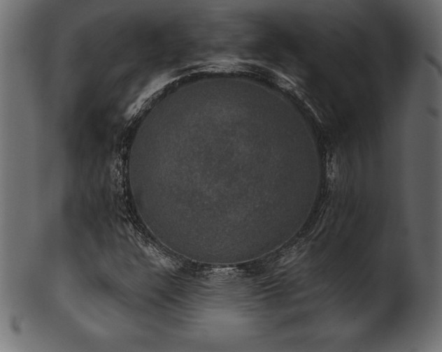 X0000102041304200807181503