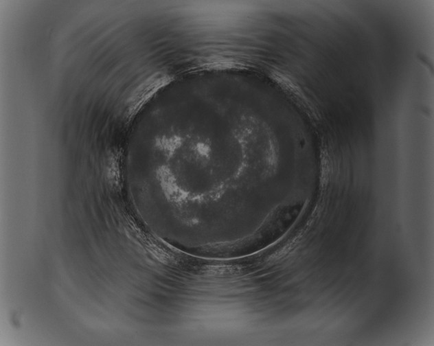X0000102041305200807181503