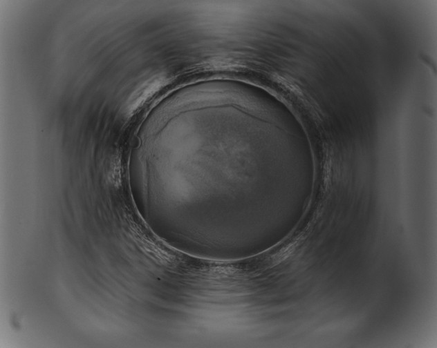 X0000102041306200807181503