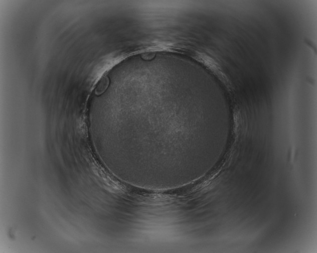 X0000102041308200807181503