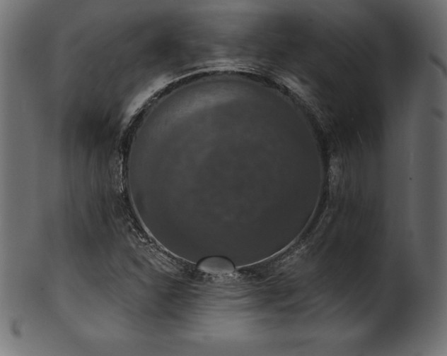 X0000102041310200807181503