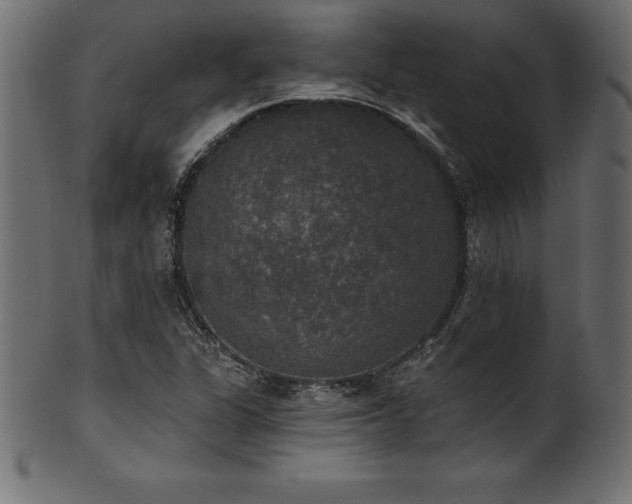 X0000102041311200807181503
