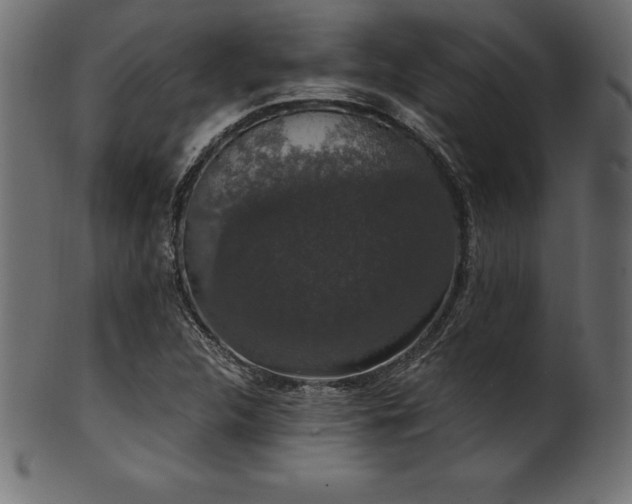 X0000102041312200807181503