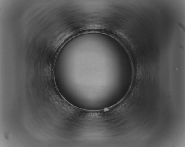 X0000102041313200807181503
