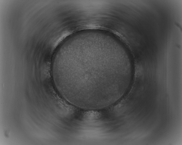 X0000102041314200807181504