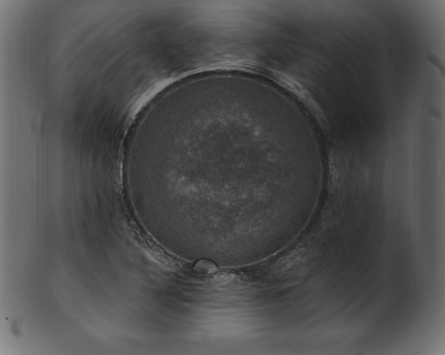 X0000102041316200807181504