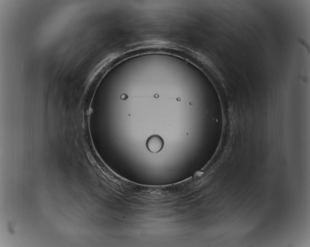 X0000102041318200807181504