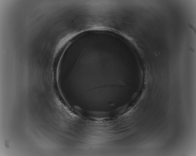 X0000102041319200807181504