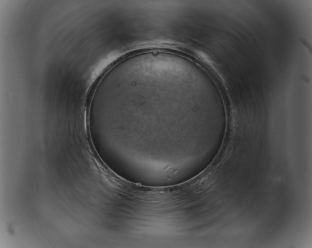 X0000102041320200807181504