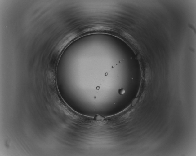 X0000102041321200807181504