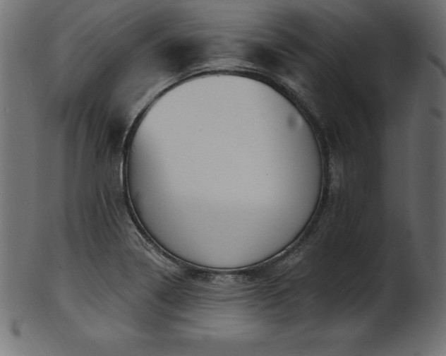 X0000102041322200807181504
