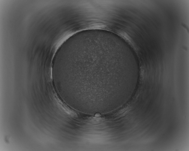 X0000102041324200807181504