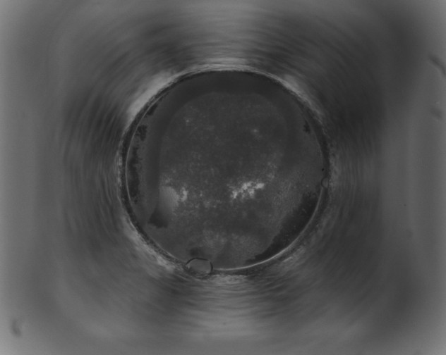 X0000102041325200807181504