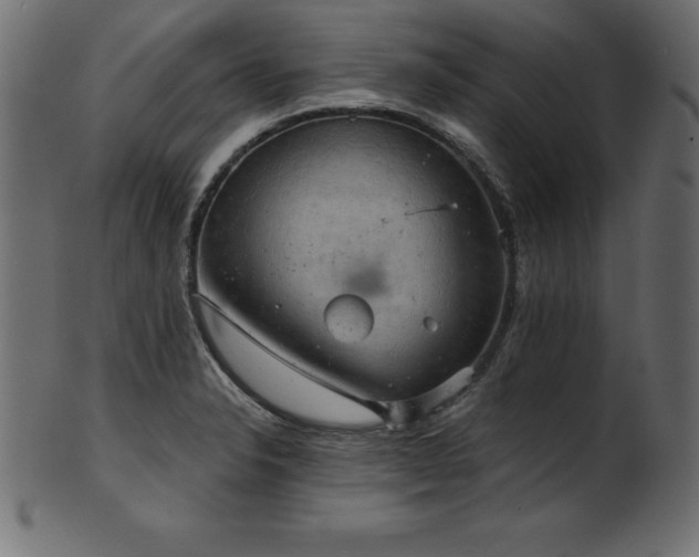 X0000102041326200807181504