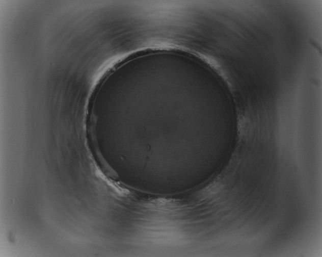 X0000102041327200807181504