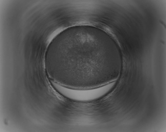 X0000102041328200807181504