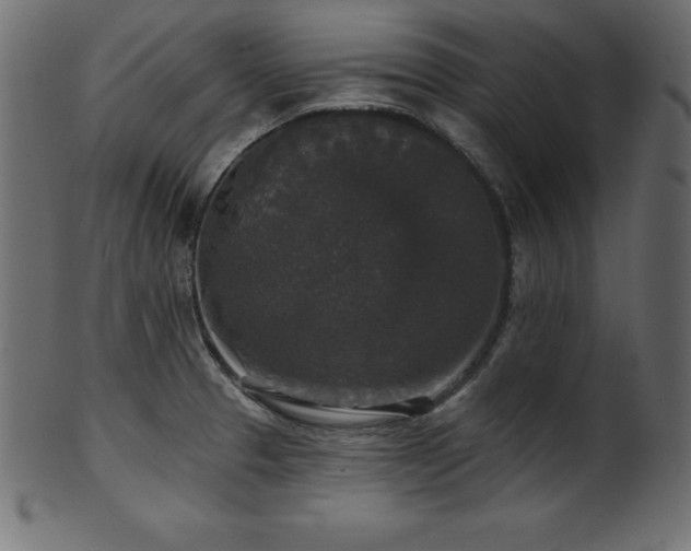 X0000102041329200807181504