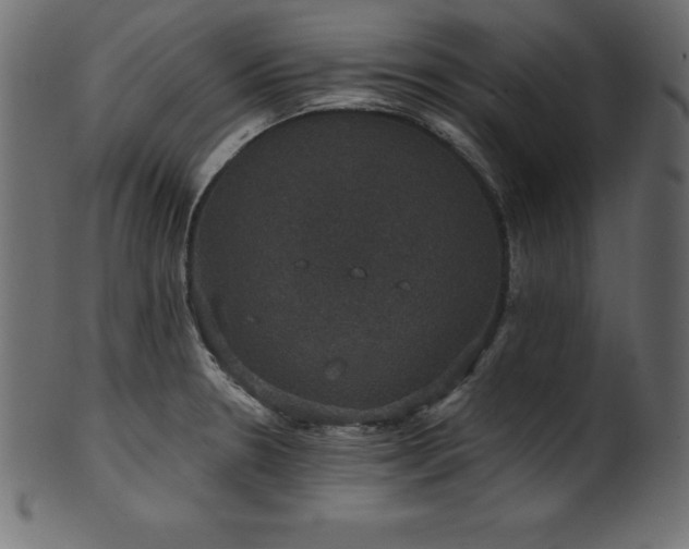 X0000102041330200807181504