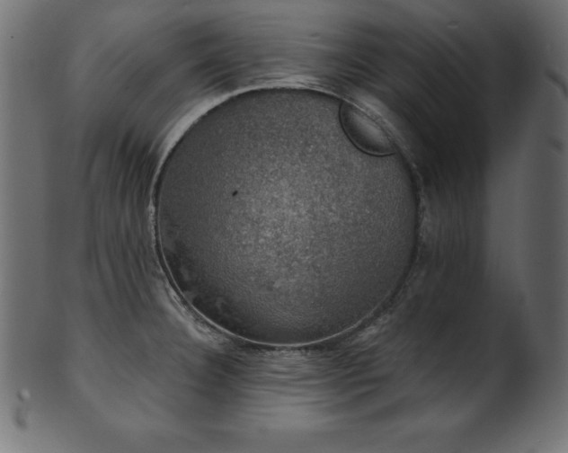 X0000102041332200807181504