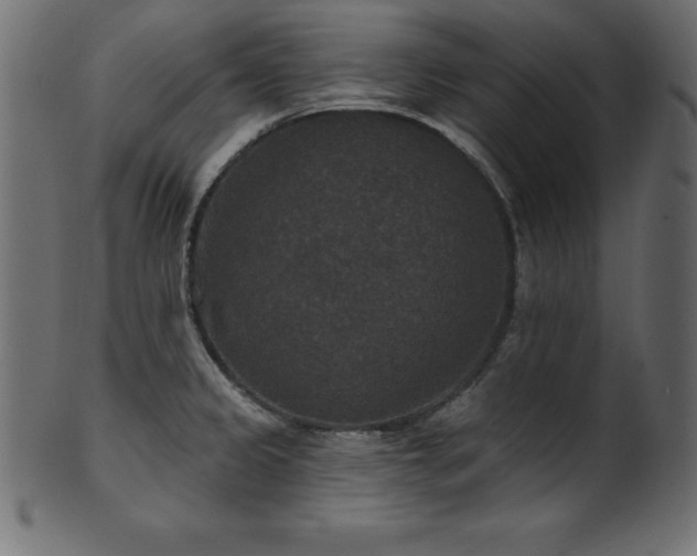 X0000102041333200807181504