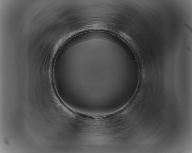 X0000102041334200807181504