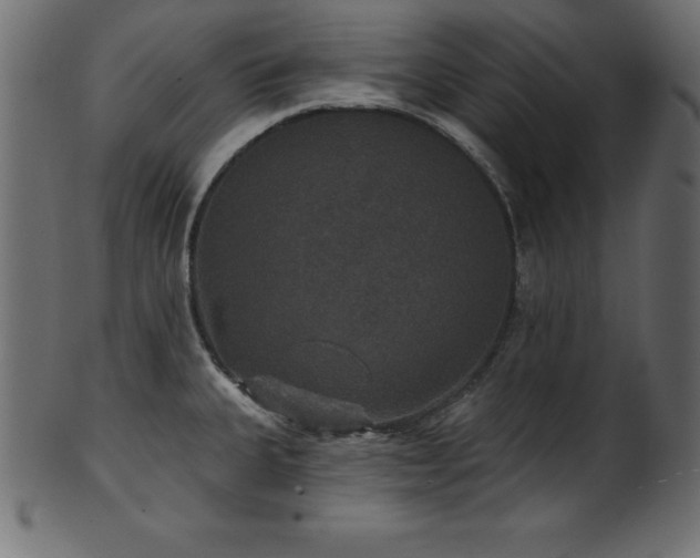 X0000102041335200807181504