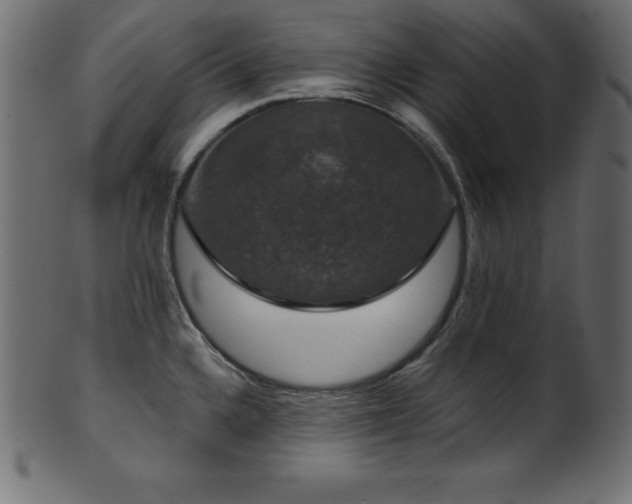 X0000102041336200807181504