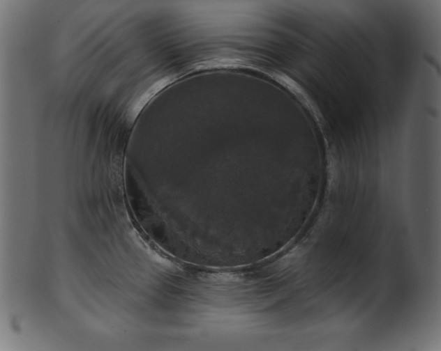 X0000102041337200807181504