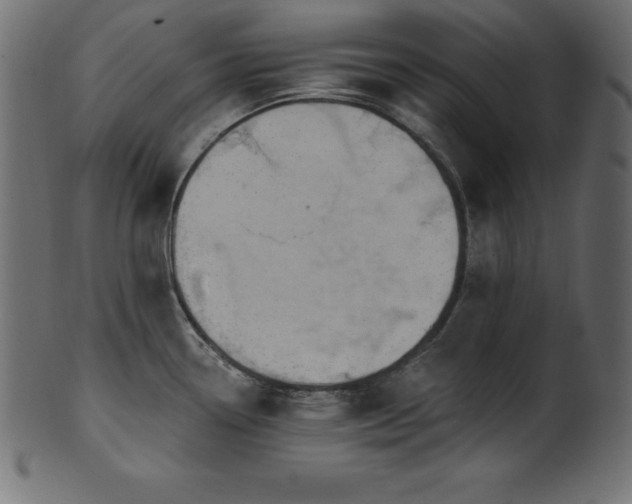 X0000102041338200807181504