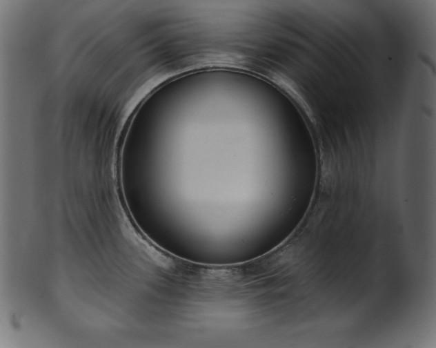 X0000102041339200807181504