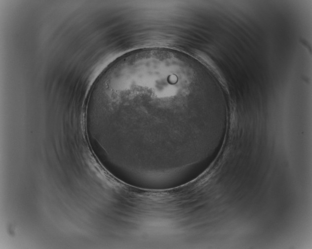 X0000102041340200807181504