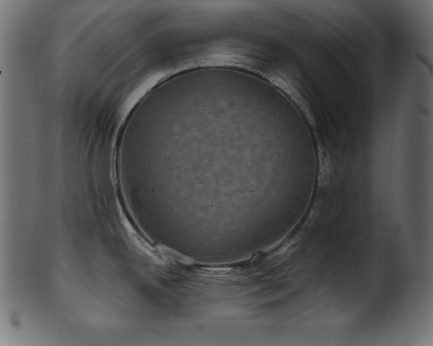 X0000102041342200807181504