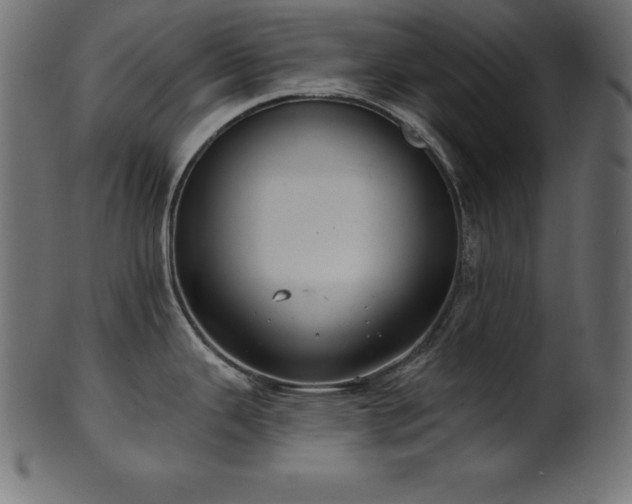 X0000102041343200807181504