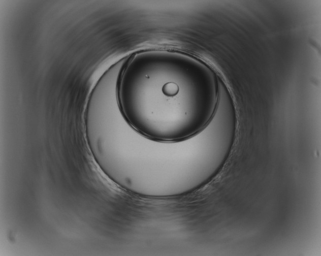 X0000102041344200807181504