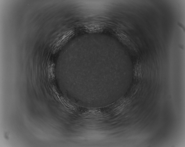 X0000102041346200807181503
