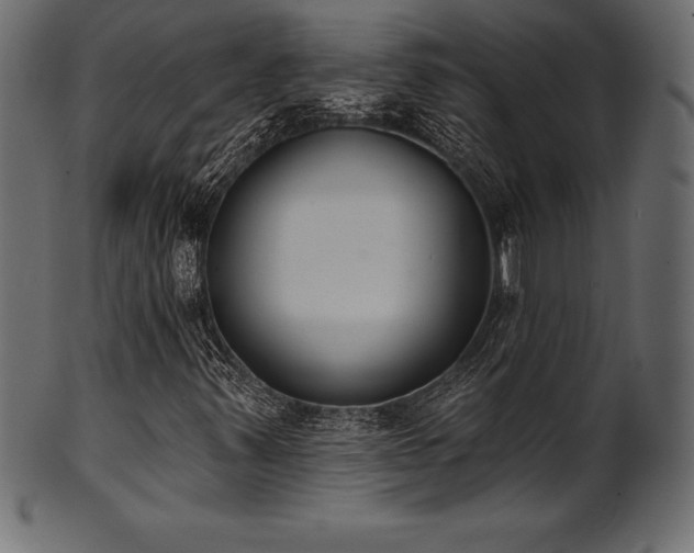 X0000102041347200807181503