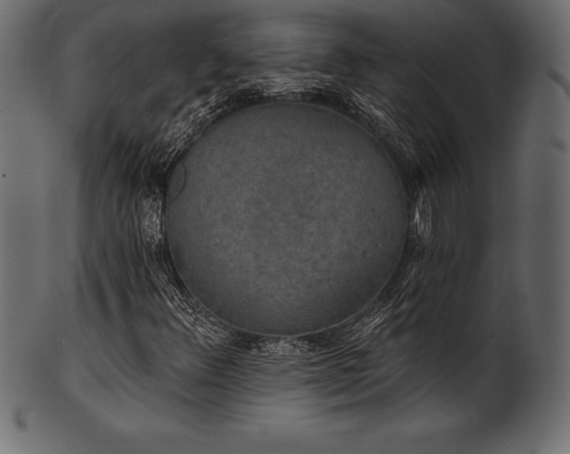X0000102041348200807181503