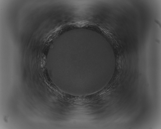 X0000102041349200807181503
