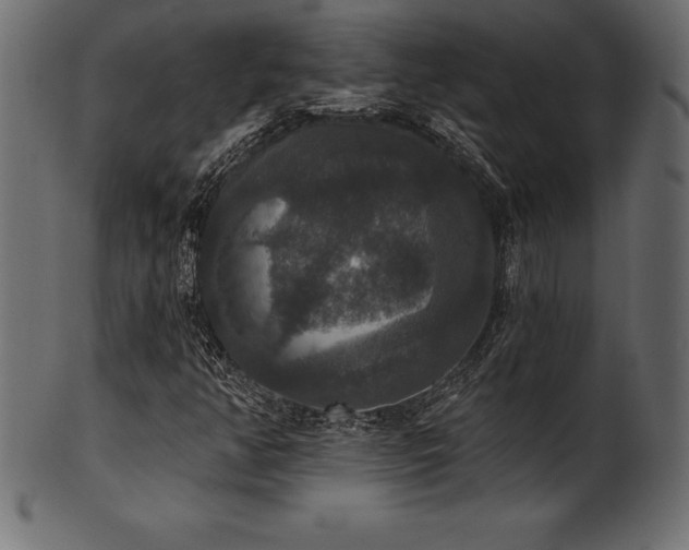 X0000102041350200807181503