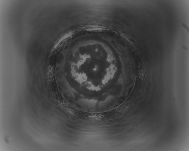 X0000102041351200807181503