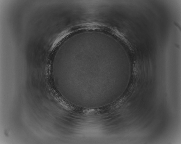 X0000102041352200807181503