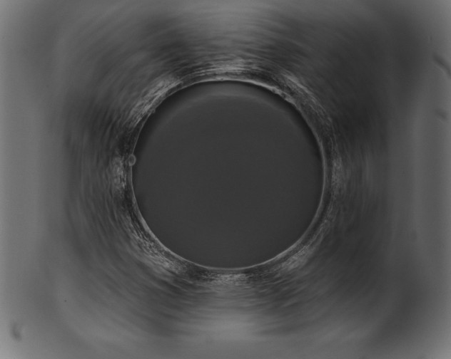 X0000102041353200807181503