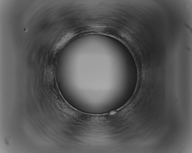 X0000102041354200807181503