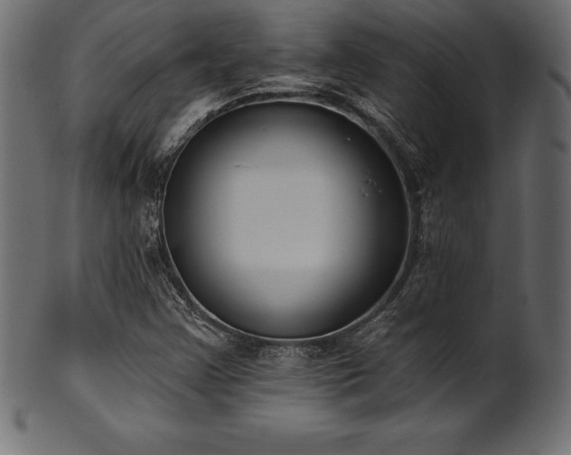 X0000102041355200807181503