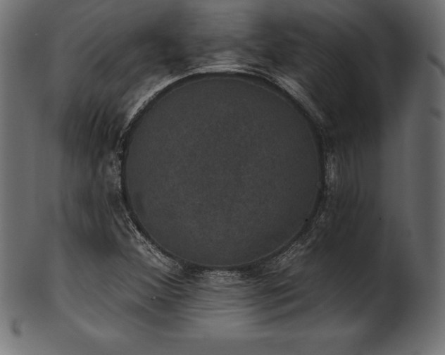 X0000102041356200807181503