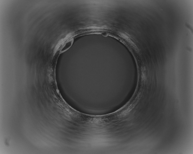X0000102041357200807181503