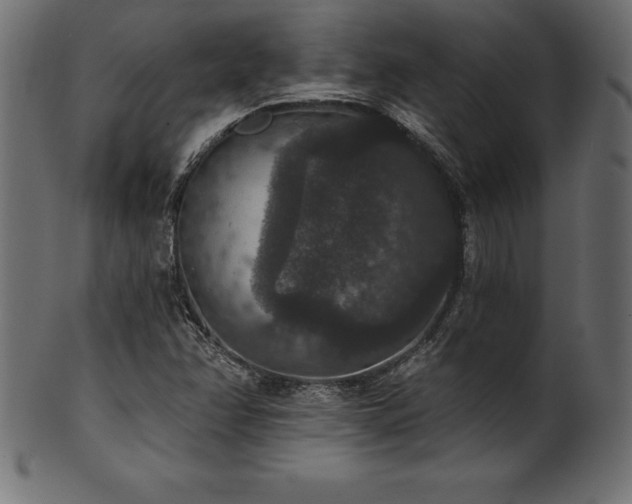 X0000102041358200807181503