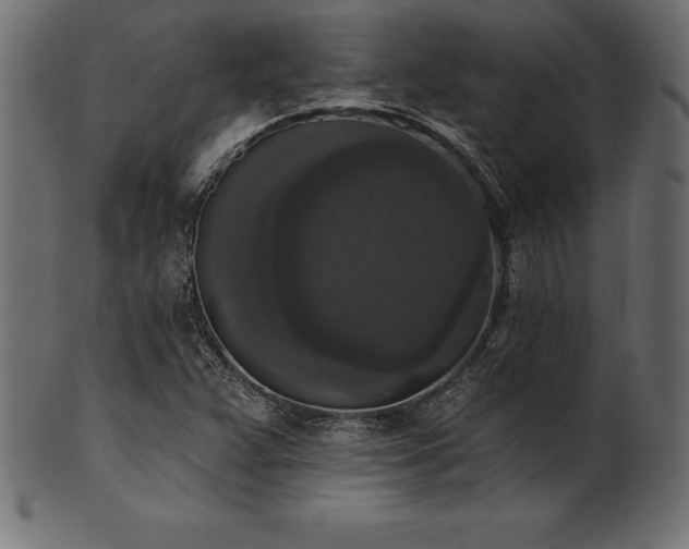 X0000102041359200807181503