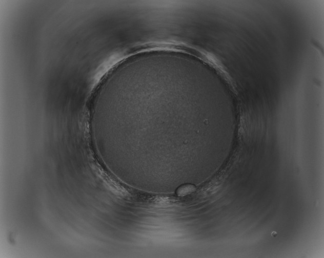 X0000102041360200807181503