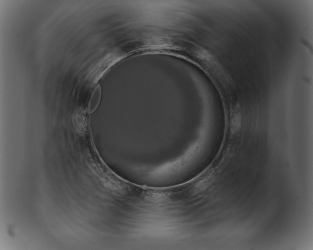 X0000102041361200807181503